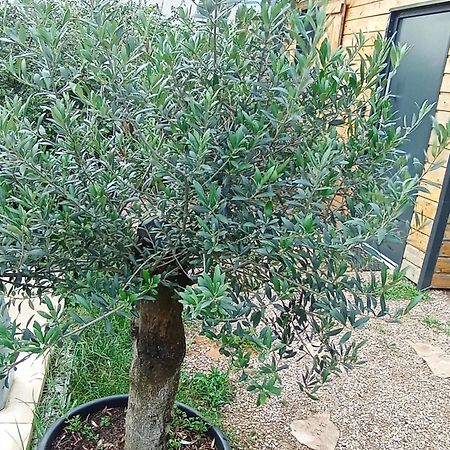 Chambres Cosy Proche Cnpe Bugey - Via Rhona Chavanoz Exterior foto